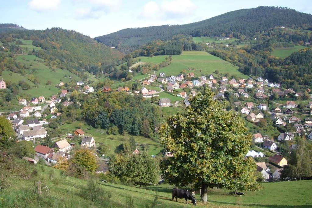 Yourte Des Verts Bois Fréland Exteriér fotografie